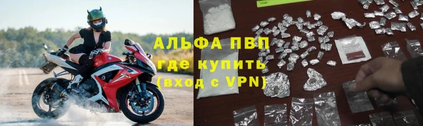 стафф Алексин