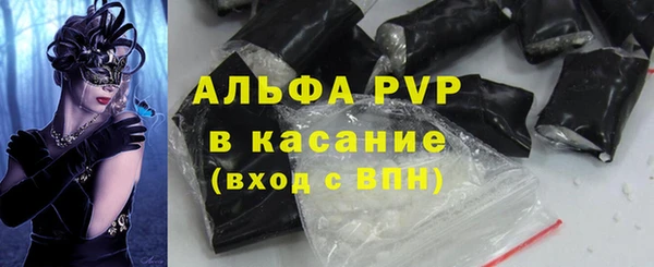 стафф Алексин