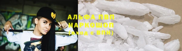 стафф Алексин