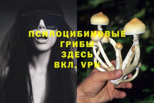 spice Алексеевка